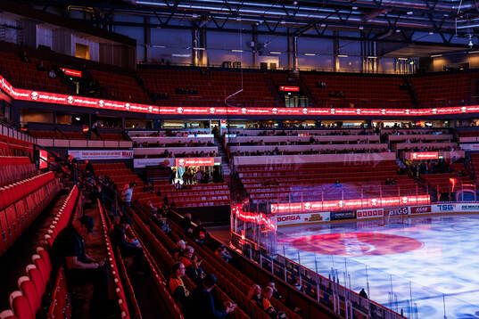 Monitor ERP Arena