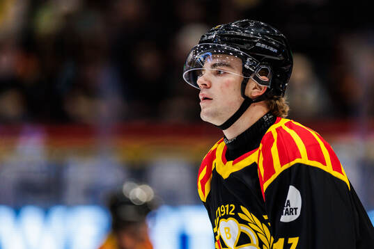 Brynäs Michal Svrcek