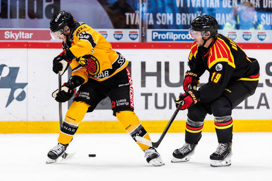 Luleås Brian O'Neill och Brynäs Nicklas Bäckström