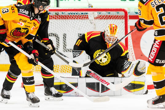 Brynäs målvakt Collin Delia