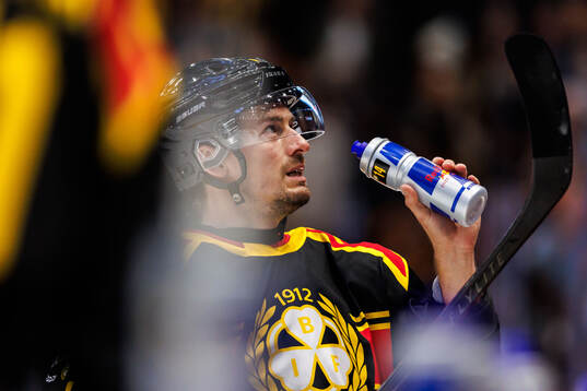 Brynäs Robert Hägg