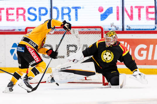 Brynäs målvakt Damian Clara