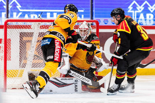 Luleås målvakt Matteus Ward