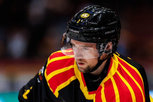 Brynäs Christian Djoos
