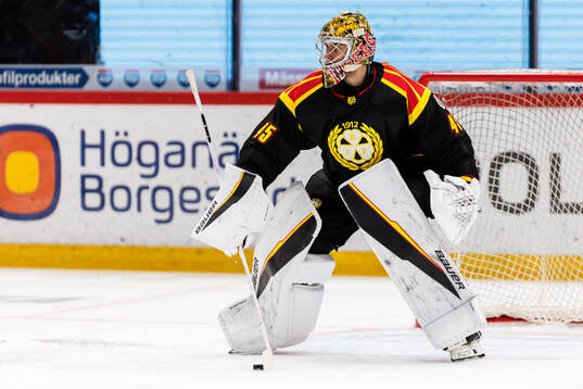 Brynäs målvakt Damian Clara