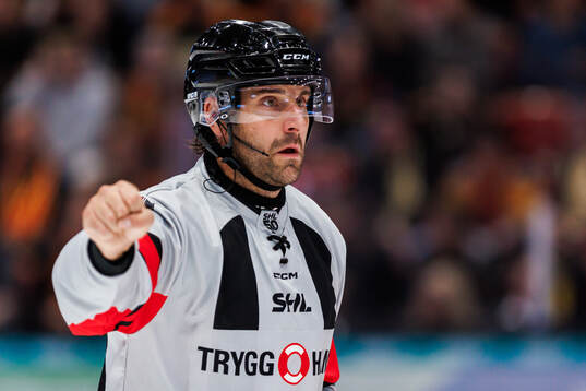 Domare Mikael Sjöqvist