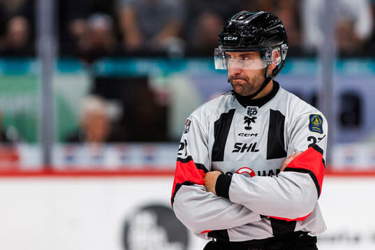 Domare Mikael Sjöqvist