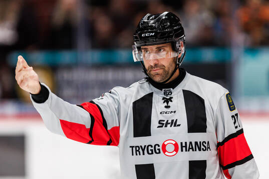 Domare Mikael Sjöqvist