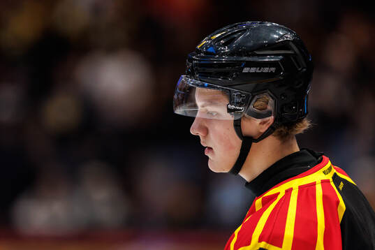 Brynäs Victor Raftheim Hedin
