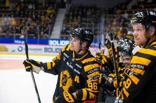 Skellefteås Rickard Hugg