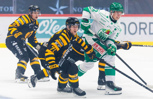 Skellefteås Jonathan Davidsson och Rögles Felix Nilsson