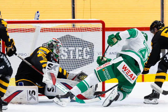 Skellefteås målvakt Strauss Mann och Rögles Simon Zether