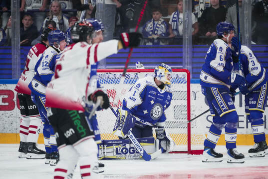 Leksands målvakt Marcus Gidlöf deppar