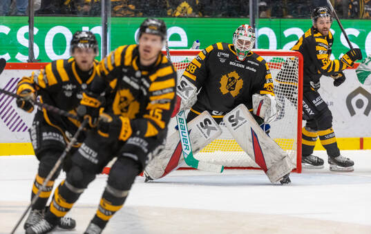 Skellefteås målvakt Strauss Mann