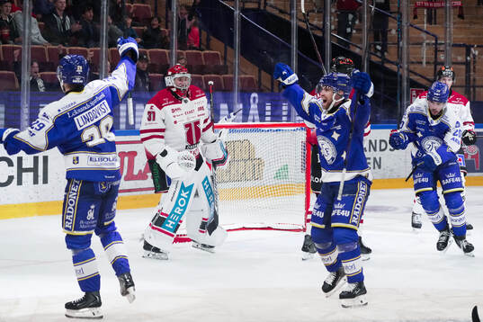 Leksands Örebros målvakt Jonas Arntzen deppar