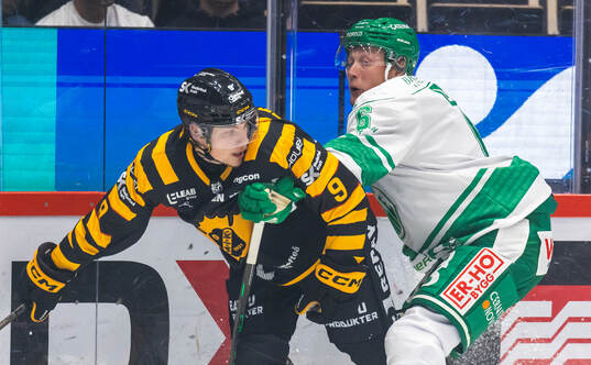 Skellefteås Victor Stjernborg och Rögles Paul LaDue