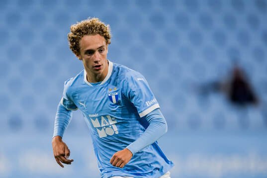 Malmö FFs Anton Höög