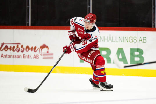 Timrås David Slacik