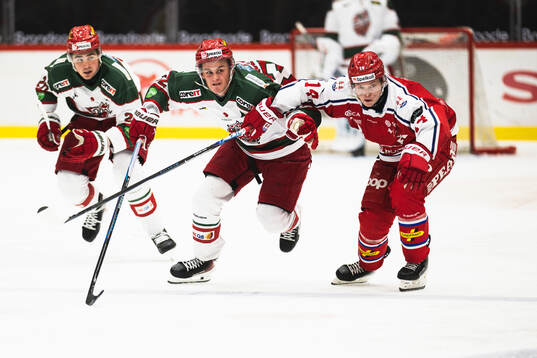 Bläddra bland fler bilder av Ishockey, J20 Nationell Norra, Timrå - Modo