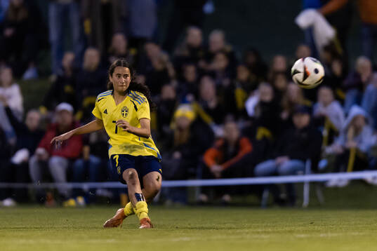 Sveriges Mayar Khatawi