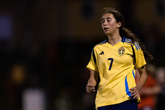 Sveriges Mayar Khatawi
