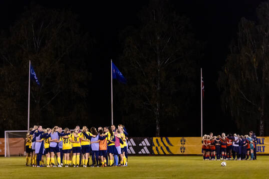 Sverige och Norges spelare