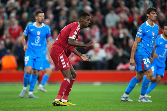 Alexander Isak of Liverpool