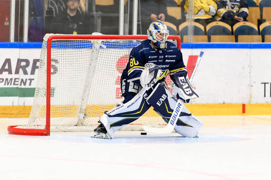 HV71s målvakt Frederik Dichow