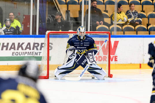 HV71s målvakt Frederik Dichow