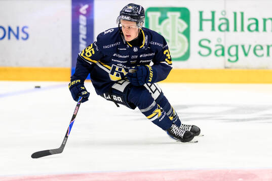 HV71s Martin Johnsen