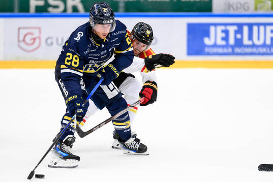 HV71s Justin Glenn Kloos och Brynäs Tyler Vesel