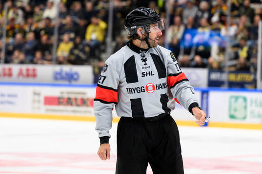 Domare Mikael Sjöqvist