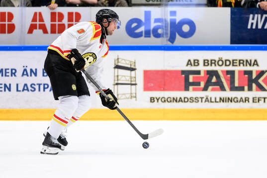 Brynäs Christian Djoos
