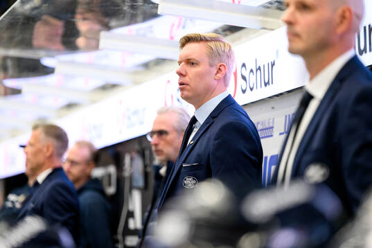 HV71s tränare Anton Blomqvist