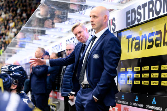 HV71s tränare Anton Blomqvist