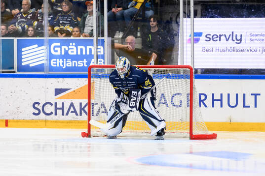 HV71s målvakt Frederik Dichow