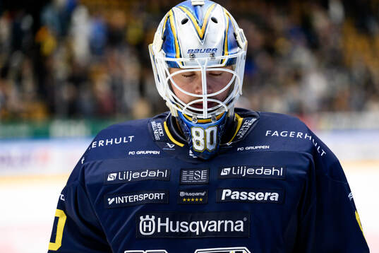 HV71s målvakt Frederik Dichow deppar