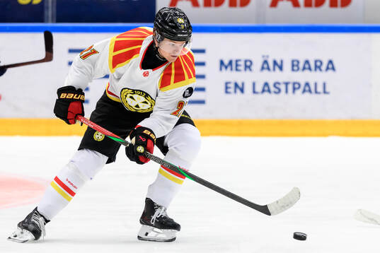 Brynäs Mattias Norlinder