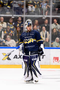 HV71s målvakt Frederik Dichow