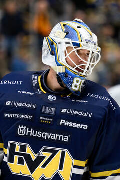 HV71s målvakt Frederik Dichow