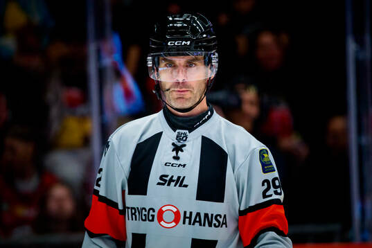 Domare Richard Magnusson