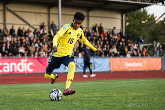 Sveriges Alinur Elmi Roble