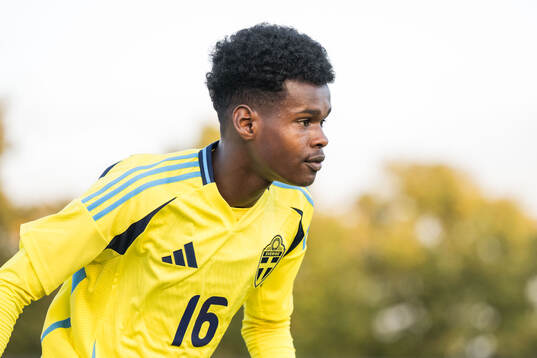 Sveriges Alinur Elmi Roble