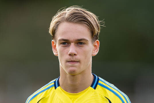 Sveriges William Johansson