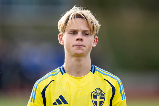 Sveriges Levi Hansas