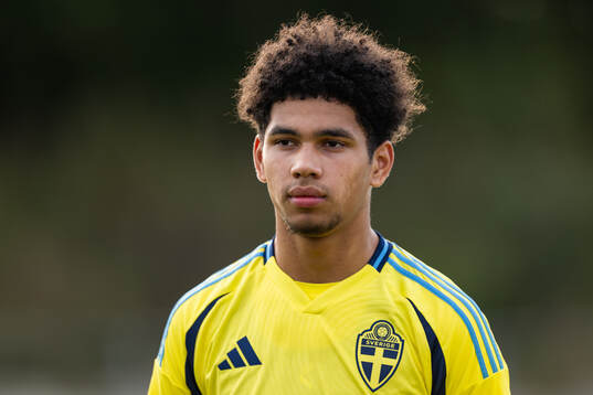 Sveriges Adrian Salvador