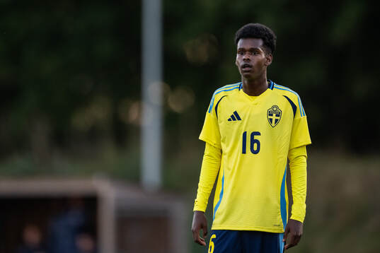 Sveriges Alinur Elmi Roble