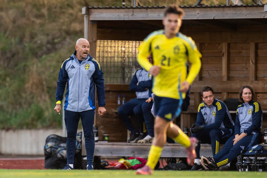 Sveriges förbundskapten Stefan Larsson