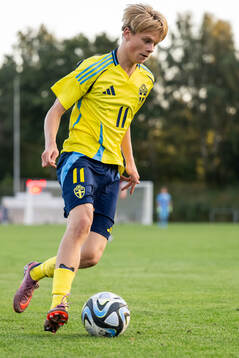 Sveriges Levi Hansas