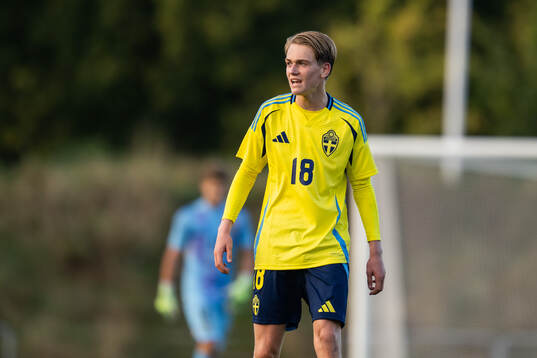 Sveriges William Johansson
